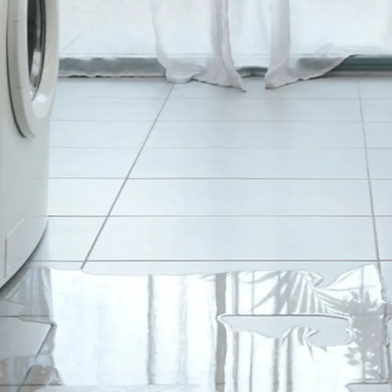Appliance Leak Cleanup in McCormick, SC