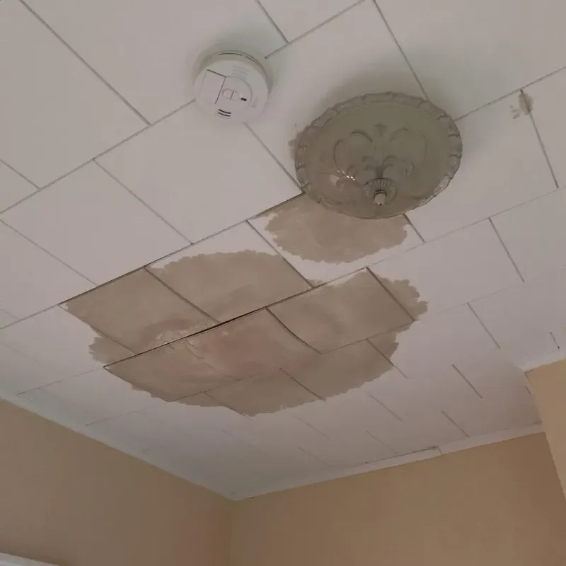 Ceiling Water Damage Repair in McCormick, SC
